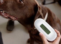 SureSense_Microchip_Reader_Used_In_Vet_With_Dog_11